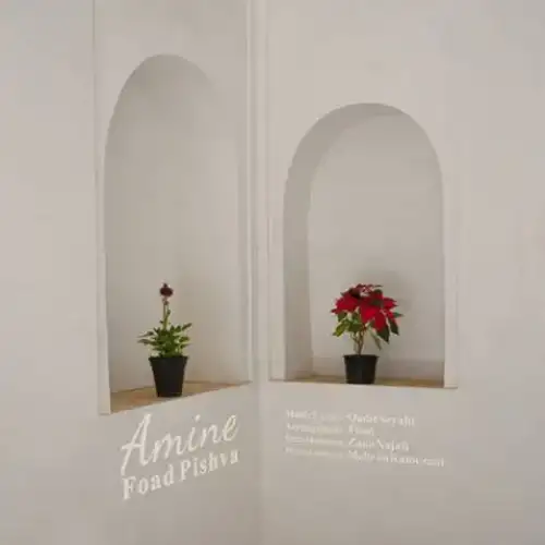 ئامینی